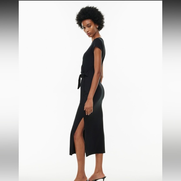 Wilfred Aritzia Fortune Dress - Picture 2 of 5